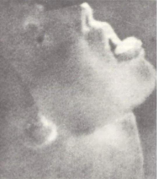 Garabandal