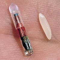 RFID-Chip